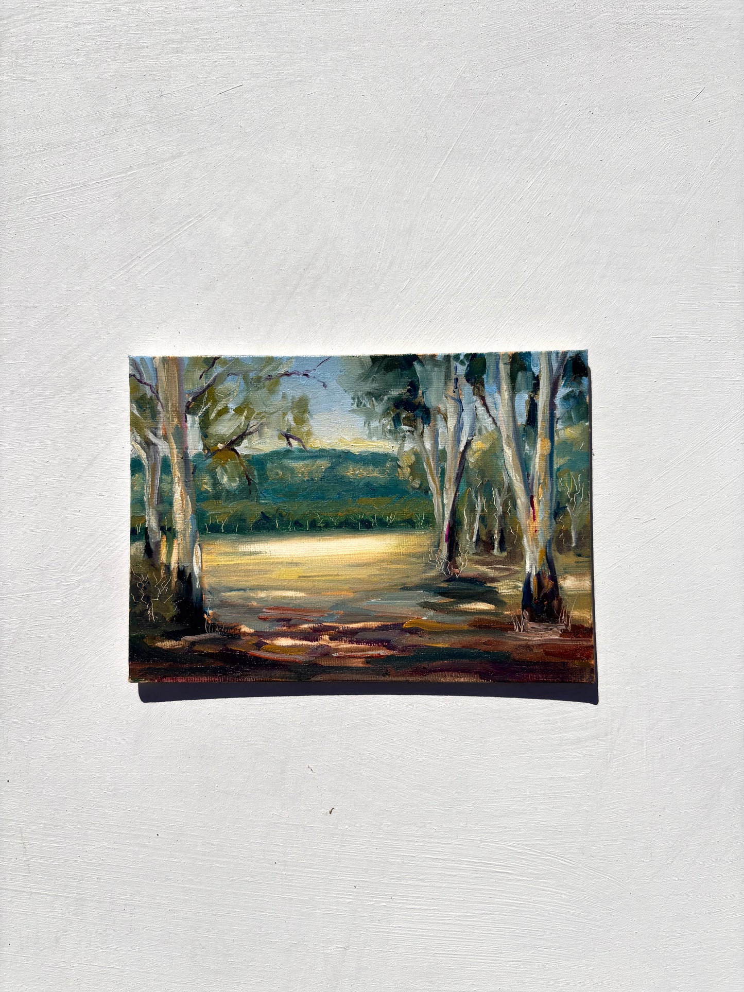 Midday in Megalong Valley
