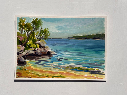 'Shark Island'